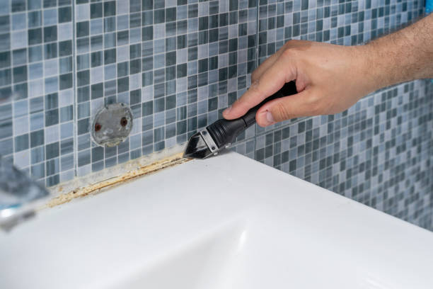 Best White Mold Remediation in Dallas, OR